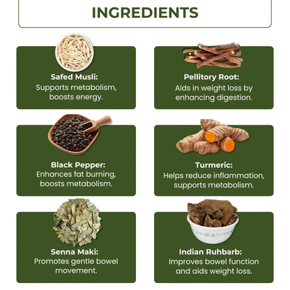 Shujaat Weight Loss Powder ( 3 Months Course )